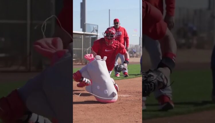 Baserunners (and stuffed animals) beware! #shorts