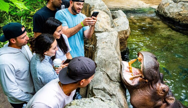 Reds players visit Fiona the hippo and more at the Cincinnati Zoo