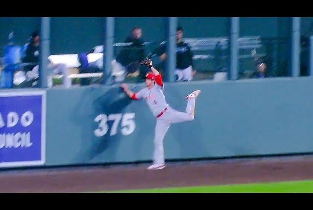 Wil Myer makes a leaping catch at the wall