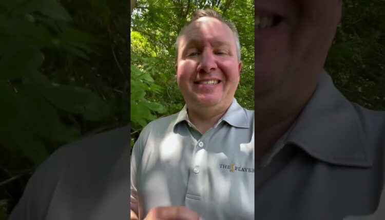 Fun facts about this weeks Redleg Roundtable guest, Scott Sullivan! #cincinnati #baseball #reds