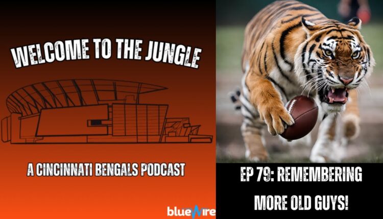 Welcome To The Jungle LIVE!