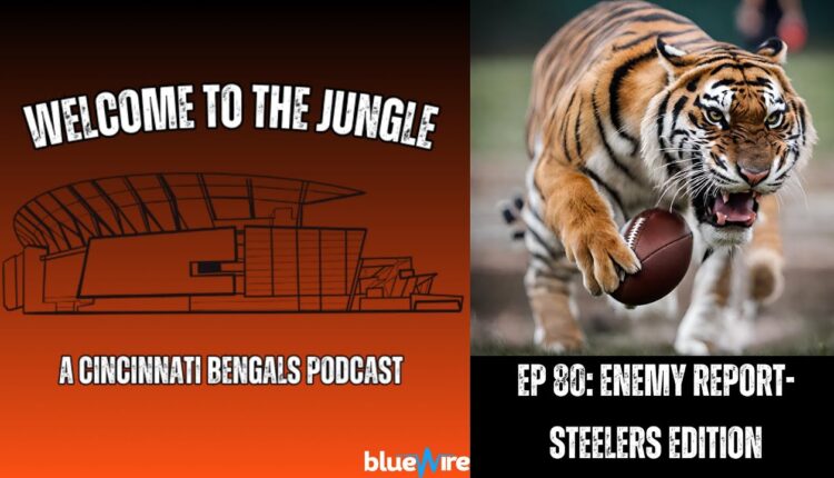 Welcome To The Jungle: Enemy Report- Pittsburgh Steelers
