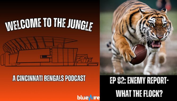 Welcome To The Jungle: What The Flock?