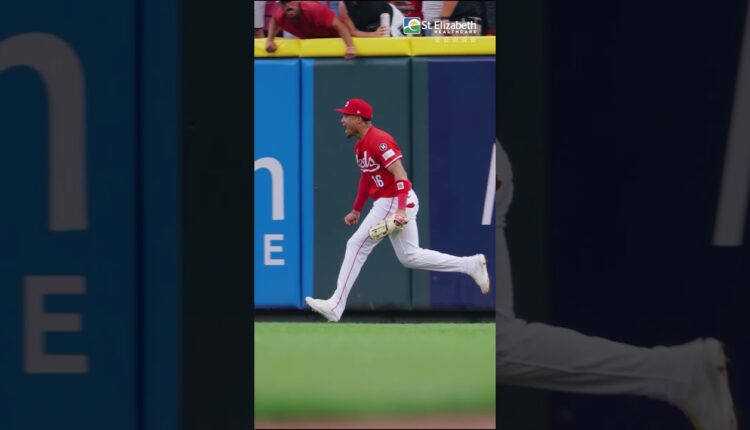 St. Elizabeth Healthcare 5-Star Play of the Season: Noelvi Marte's Home Run Robbery