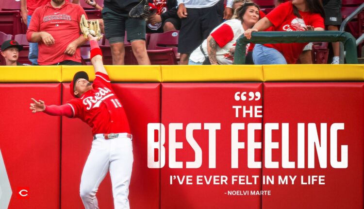 2026 Reds: The Art of Robbing a Home Run